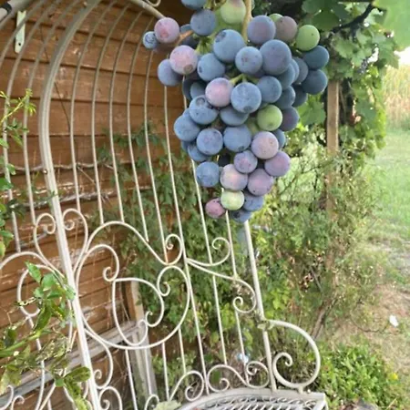 La Maison Des Roses Drachenbronn-Birlenbach Extérieur photo
