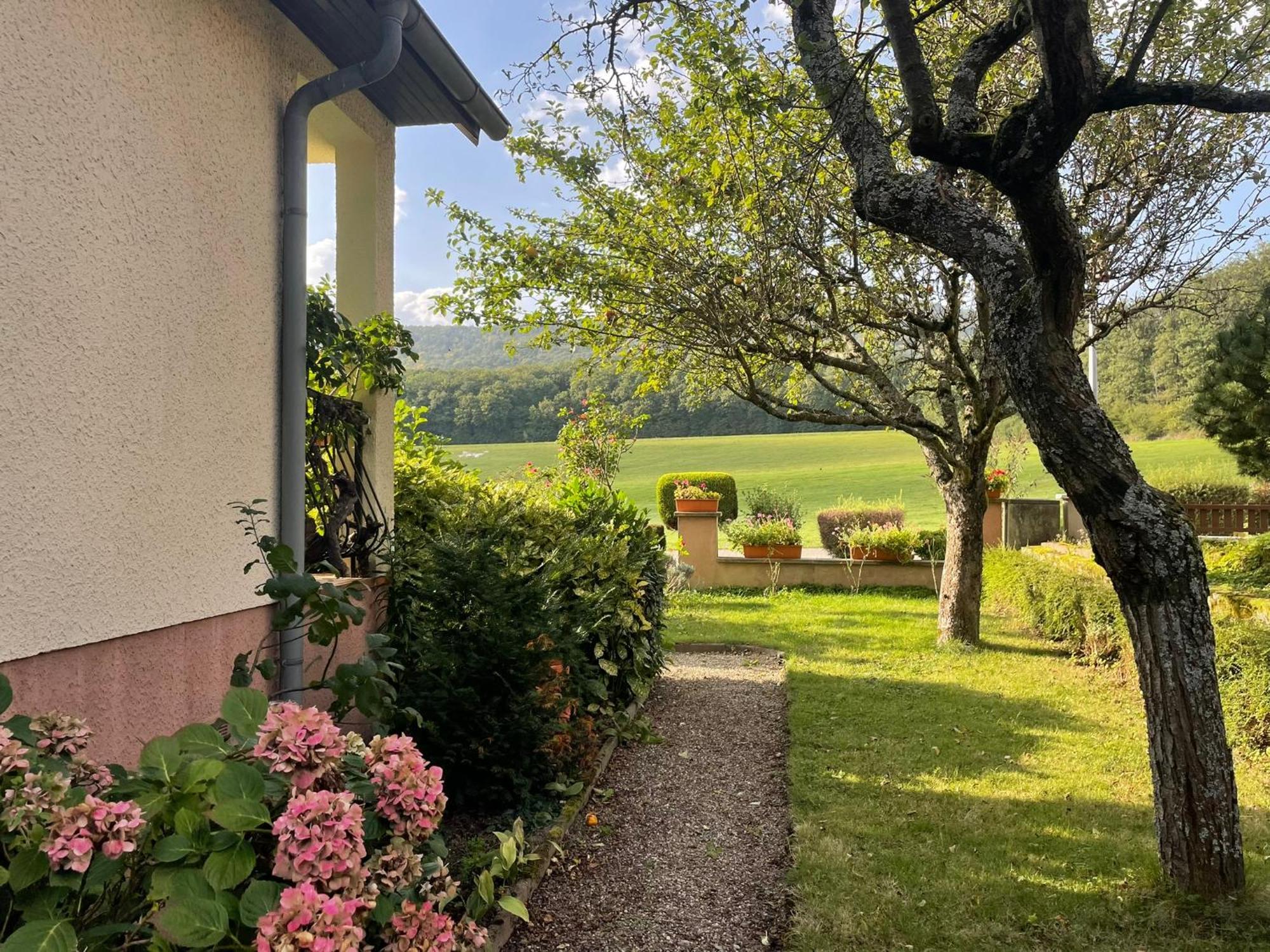 Hébergement de vacances La Maison Des Roses Drachenbronn-Birlenbach