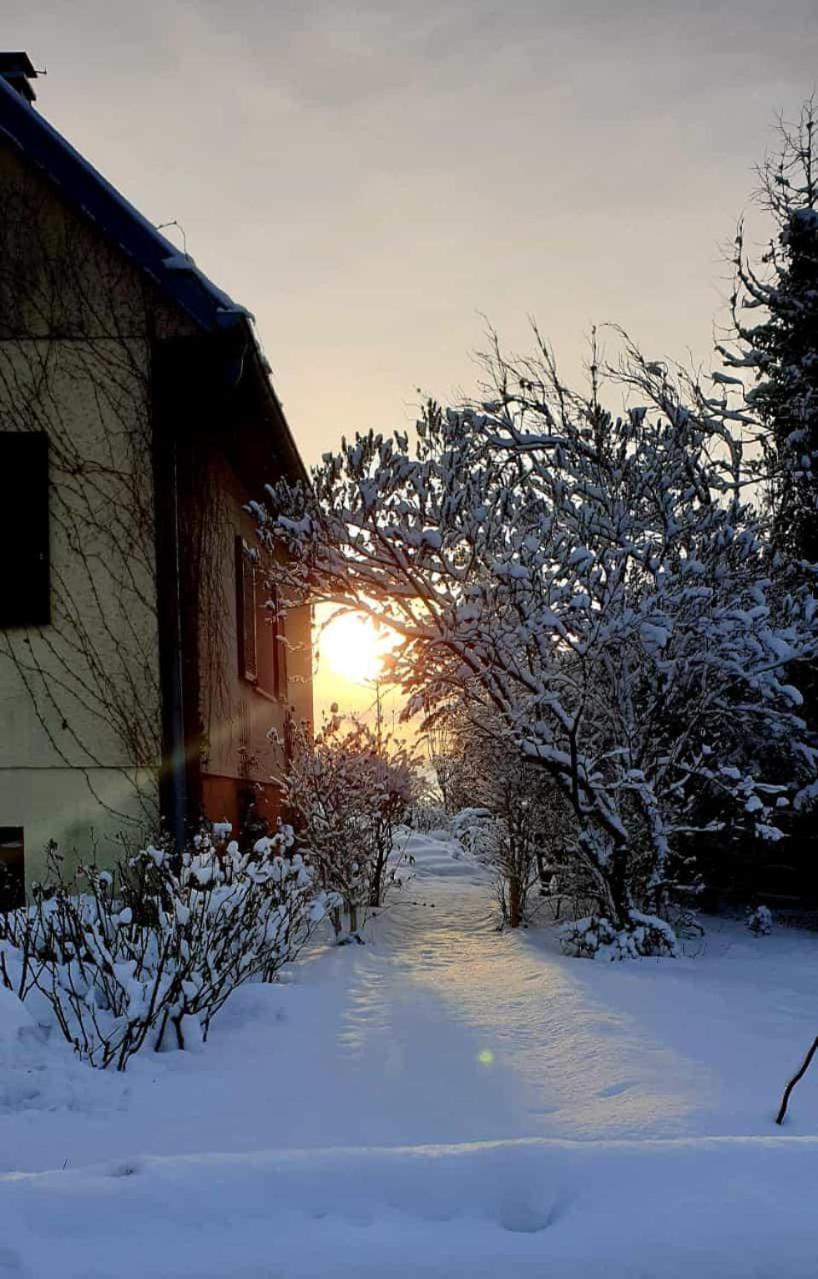 La Maison Des Roses * Drachenbronn-Birlenbach